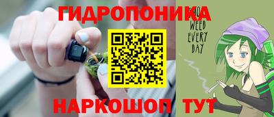 соль ск Кингисепп