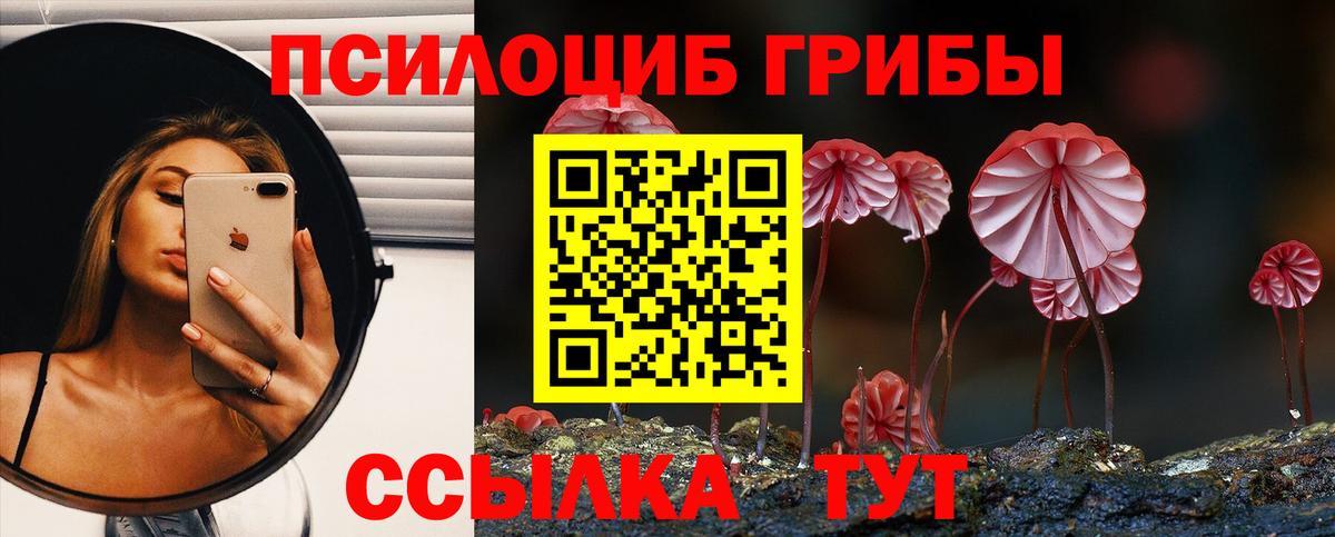 Галлюциногенные грибы прущие грибы Арзамас