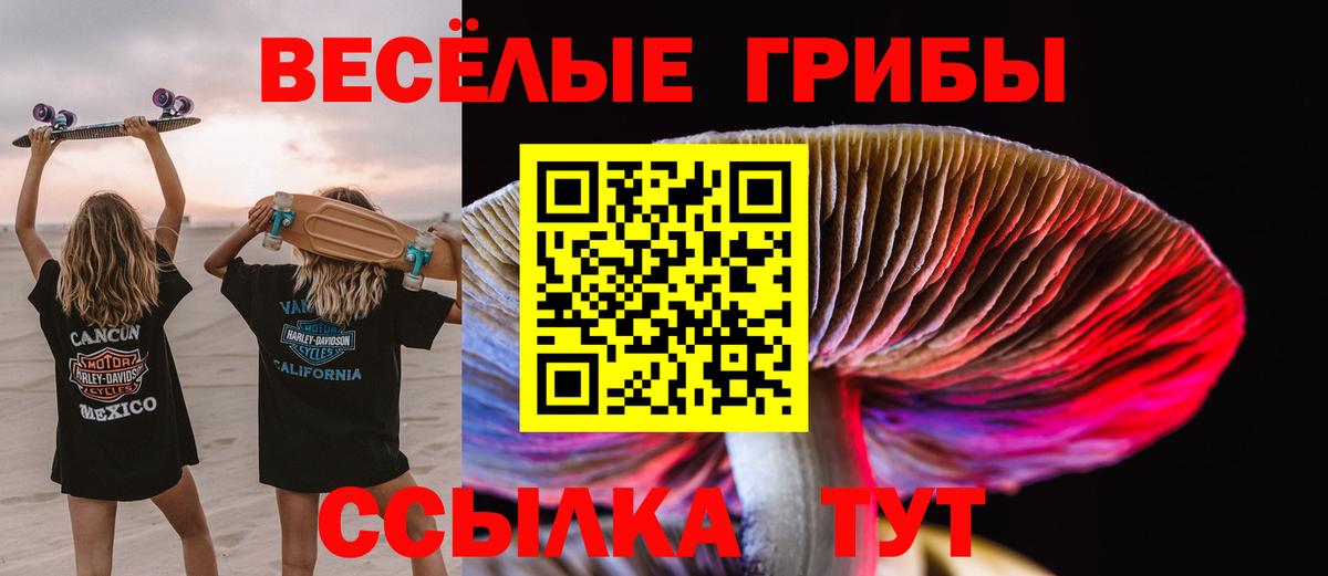 Арзамас  Галлюциногенные грибы MAGIC MUSHROOMS  Вход с VPN 